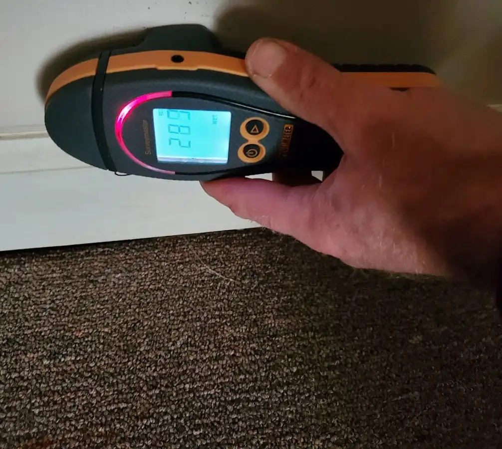 Moisture detection at baseboard during Sewage Cleanup & Sanitation in Southbury
